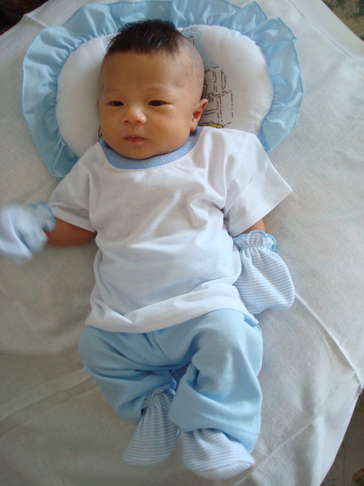 [DSC02949.JPG]