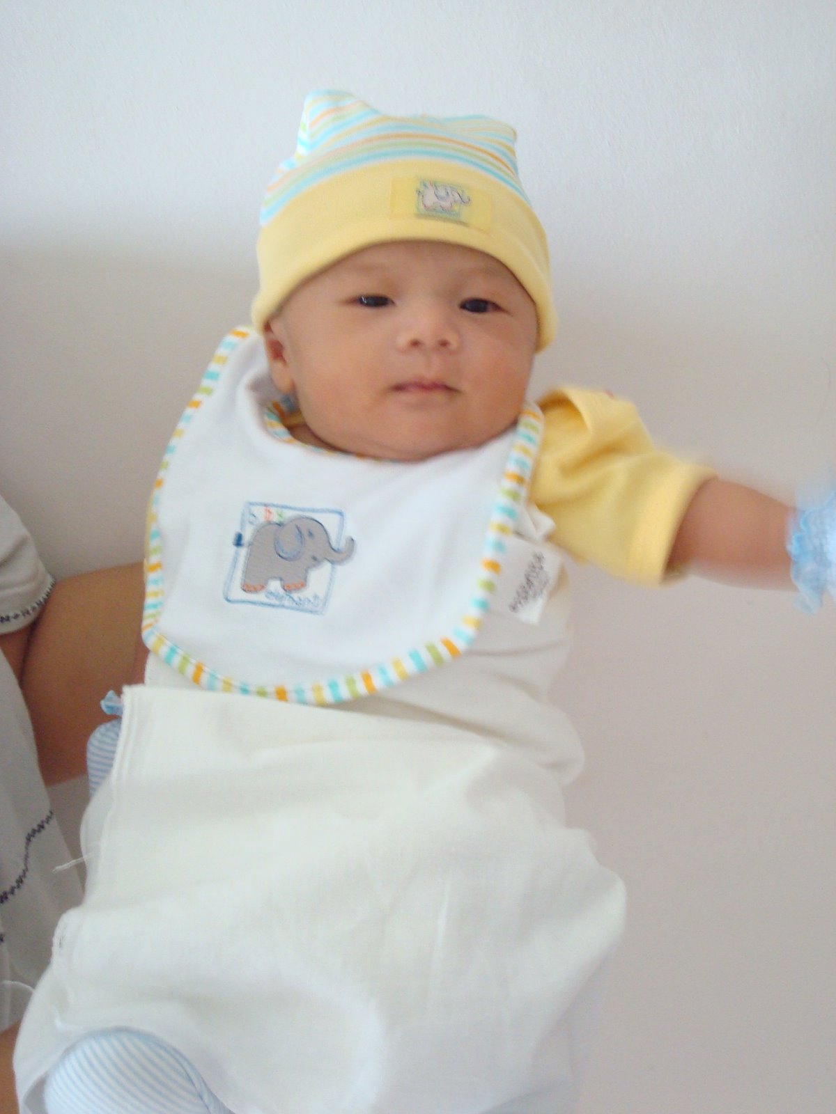 [DSC03109.JPG]