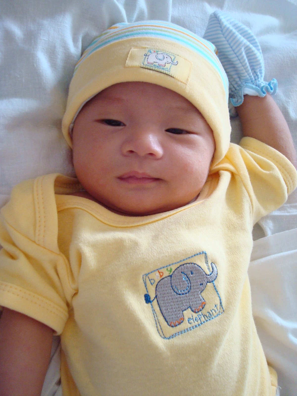 [DSC03111.JPG]