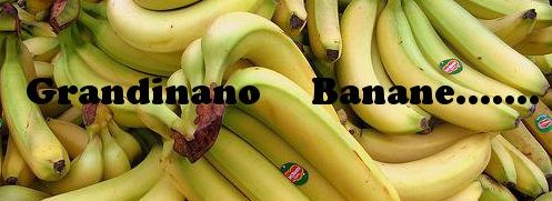 Grandinano banane....