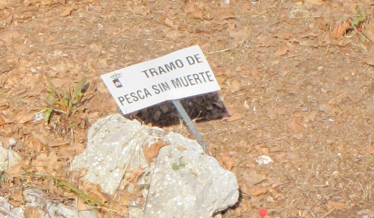 La Poesia