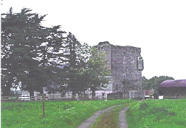 Fantstown Castle near Kilmallock Tipperary