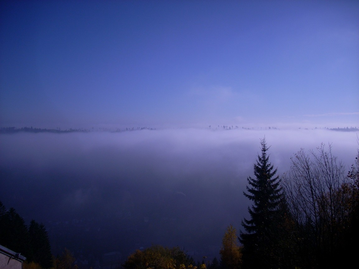 [mist.jpg]