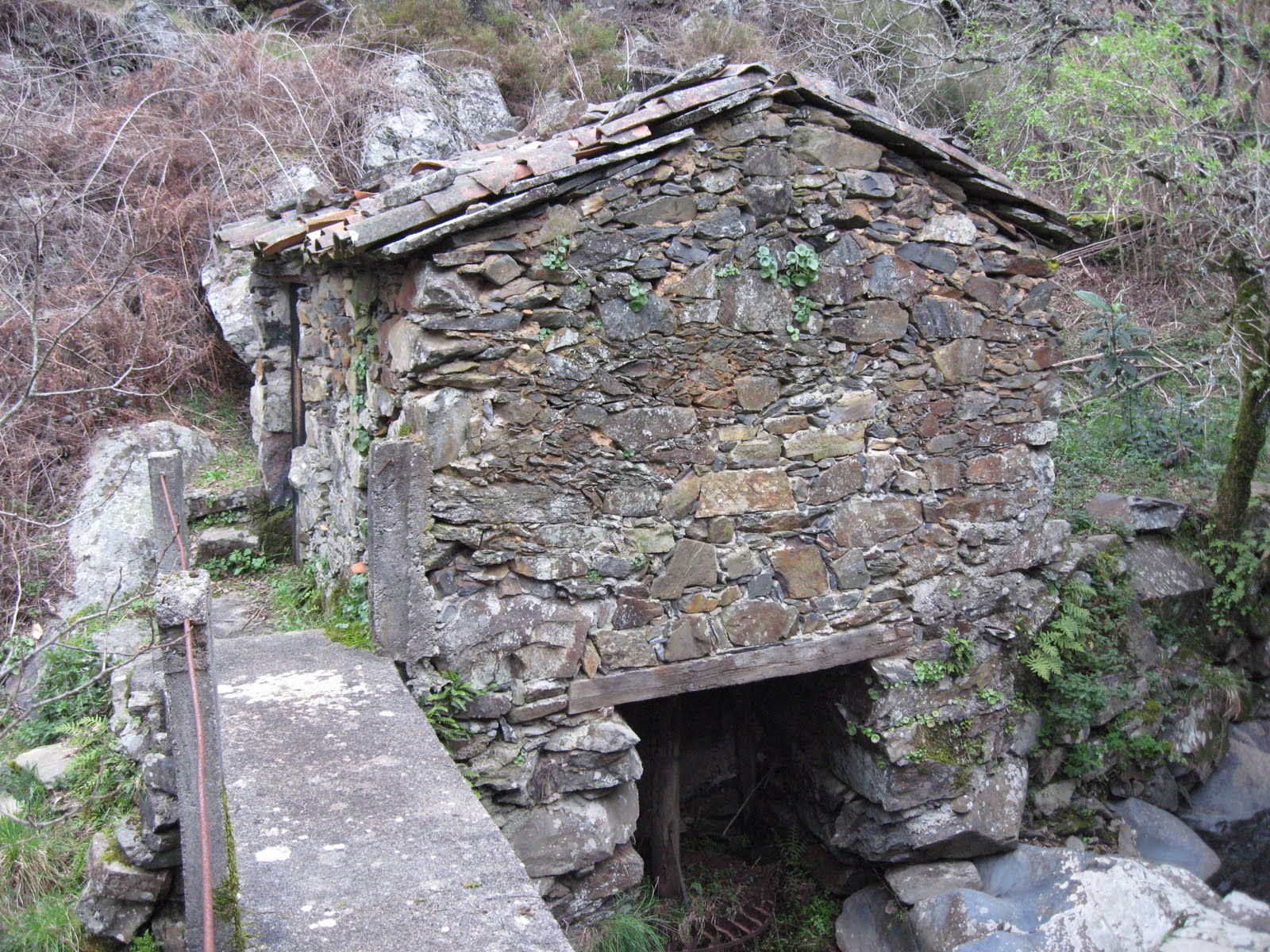 [043.JPG]