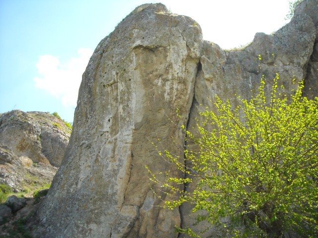 [DSCN0532-b.jpg]