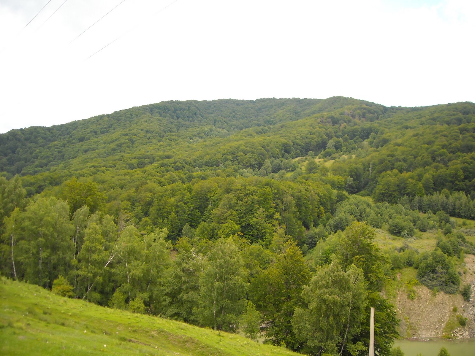 [DSCN0636.JPG]
