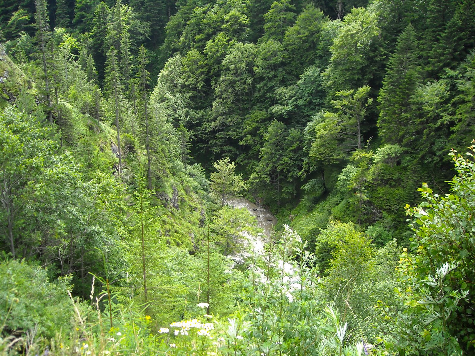 [DSCN0640.JPG]