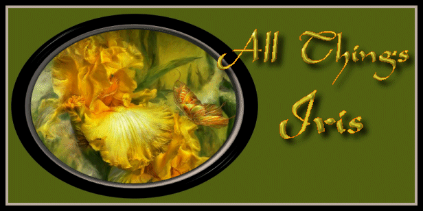 All Things Iris