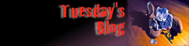 Tuesday's Blog