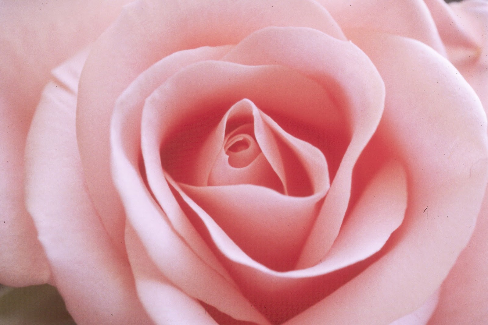 World Travel with Anne November 2010