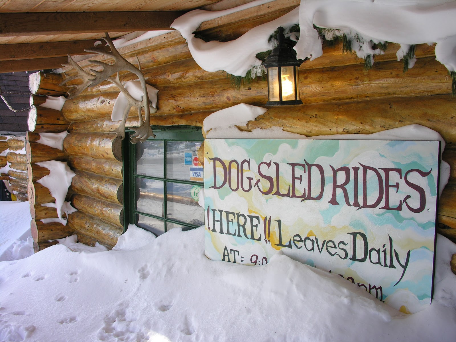 affordable dog sled canada