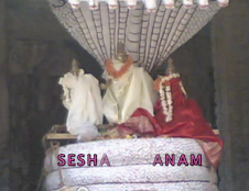 SESHA VAHANAM