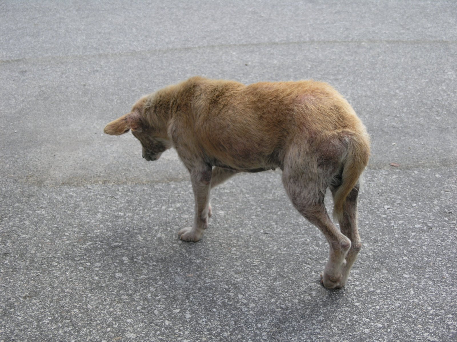 [P8316471.JPG]