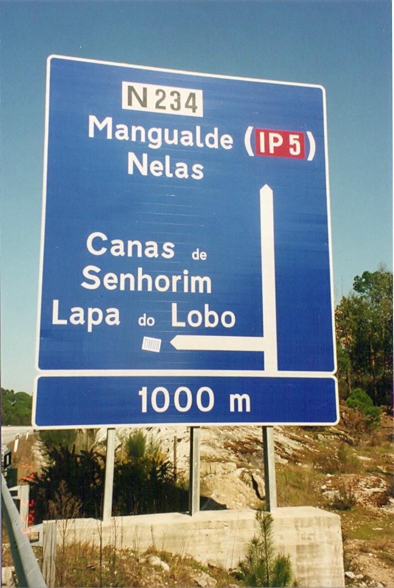 [ScannedImage-9.jpg]