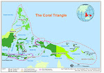 Corel Triangle Initiative (CTI)