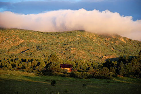 The view west from the homestead