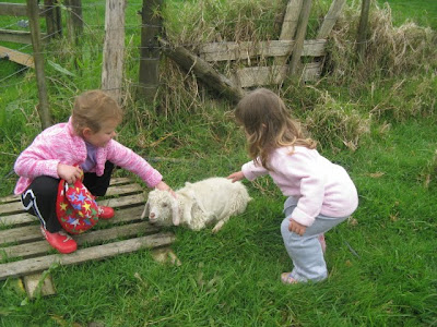 Muddy Gumboots