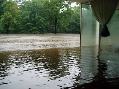 Farnsworth House flood water Mies Plano Landmarks Illinois