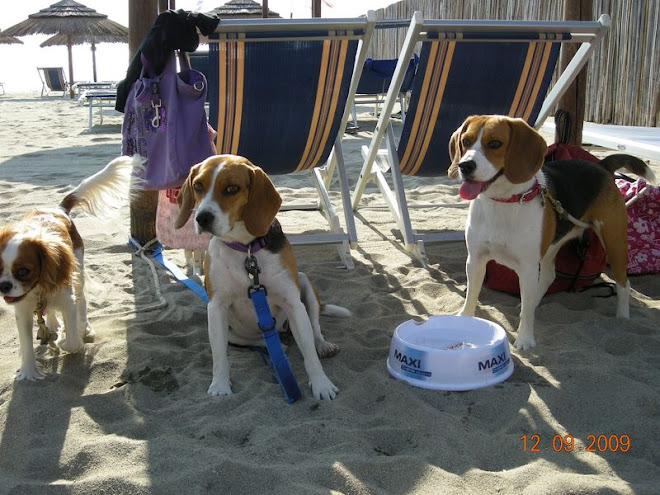 Wendy, Pepita e Maya!!!