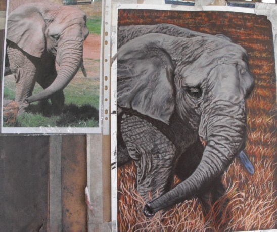 Canvas+prints+for+sale+australia