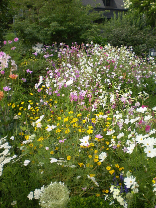 Peaceful Garden