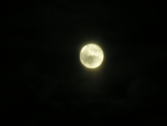 In A Haze