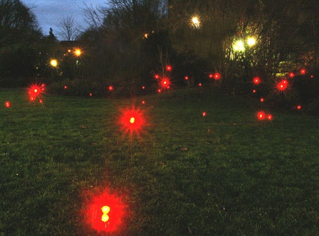 [Lausberg_glow-worms.jpg]