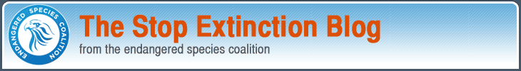Stop Extinction Blog