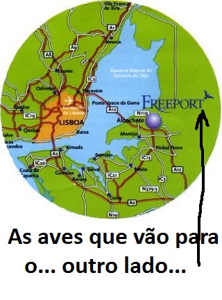 [freeport+2.bmp]