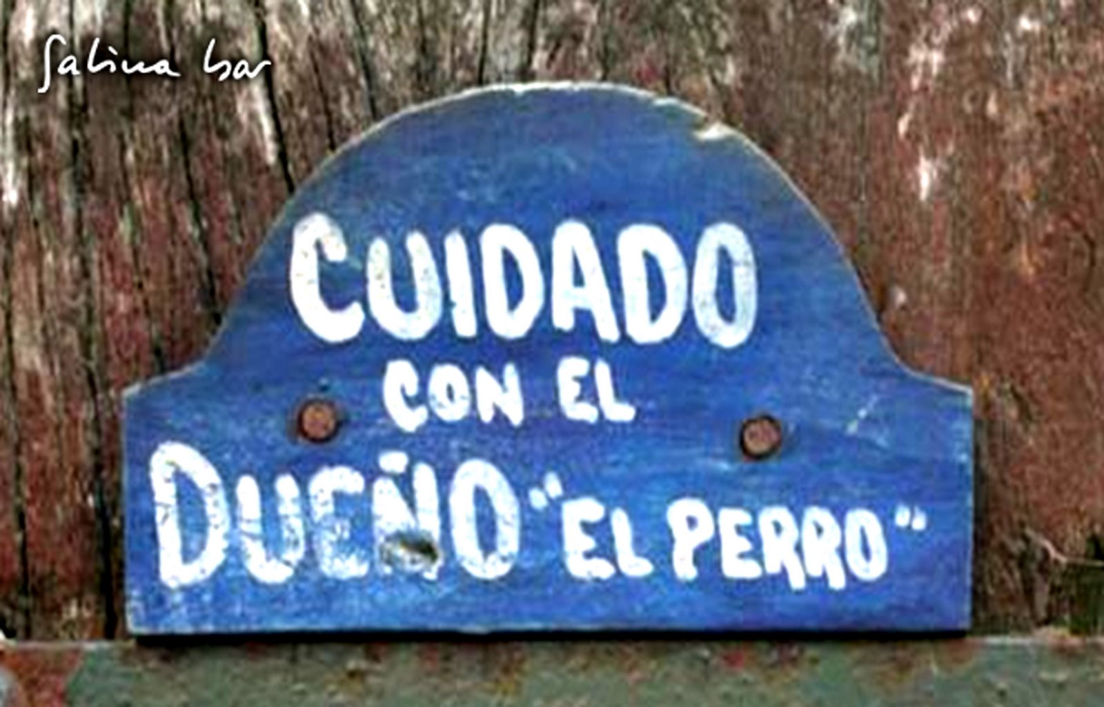 [carteles+curiosos+18.jpg]