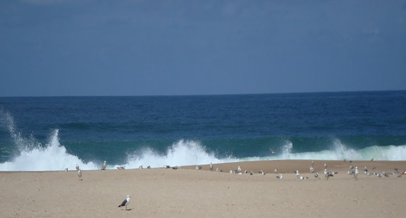 Praia da Nazaré