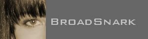 BroadSnark