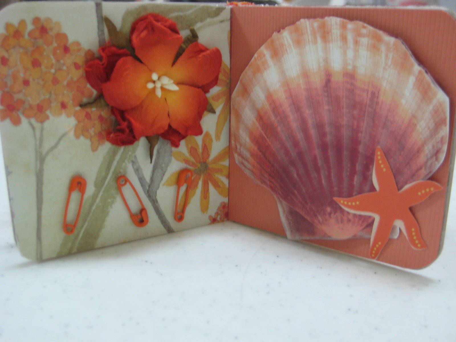 [Rhondas+Mini-Color+Orange4.JPG]