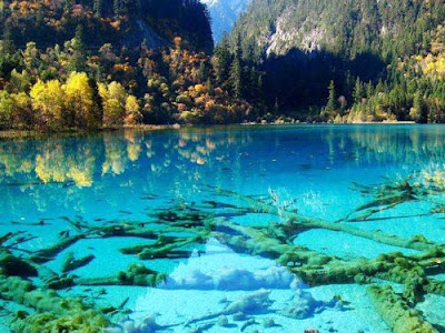 Beautiful nature sceneries pics: February 2011