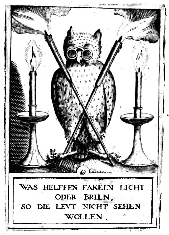 [Eule.jpg]