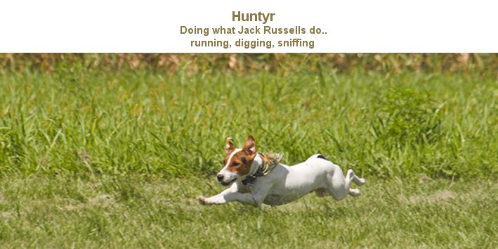 Huntyr