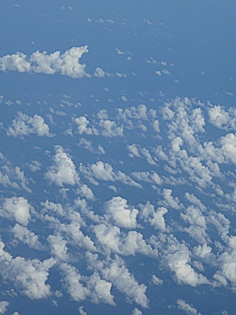 [P1010412.JPG]