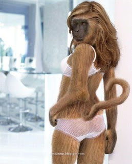 [Image: Sexy+Animal+(2).jpg]