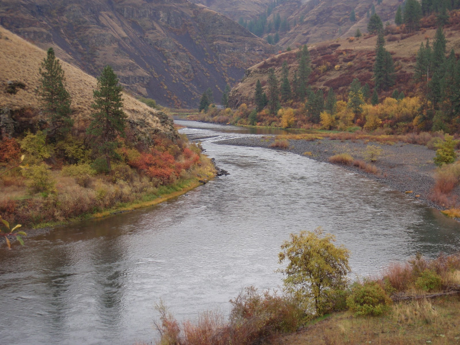 Fly Fishing Adventures Grande Ronde Fall Steelhead