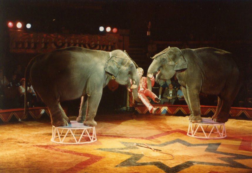 A friend of the Circus Alex Larenty, Hippodrome Circus, 1985