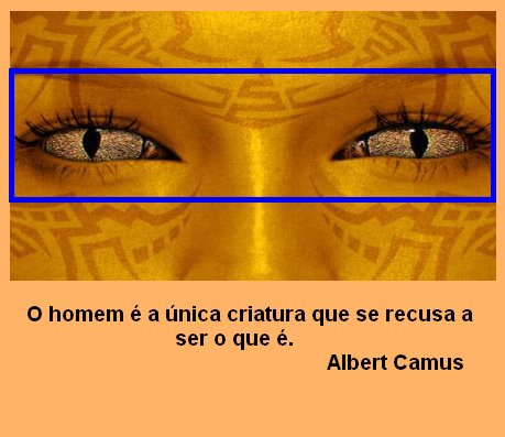 [Recusa.bmp]