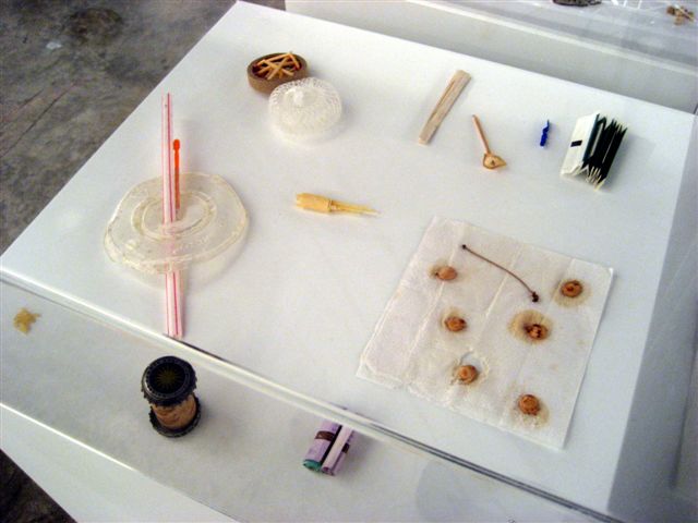 [3.+ABMB.Rivane+Neiuschwander..jpg]