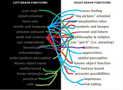 The Bathroom Monologues: Left Brain, Right Brain, No Brain, Whole Brain