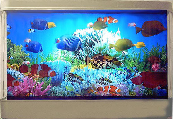 [fish+tank.jpg]