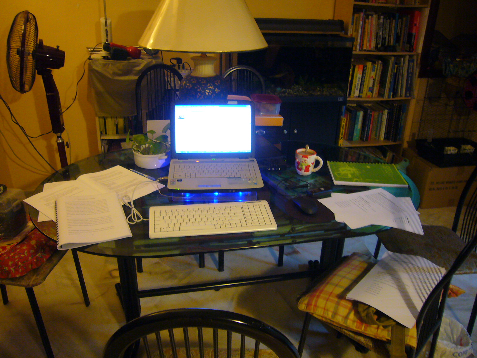 [P1060794.JPG]