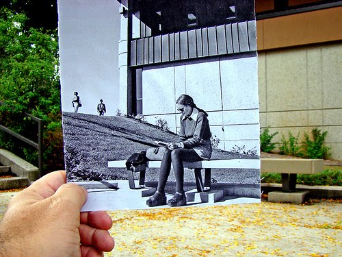 [3947916581_635e478491.jpg]