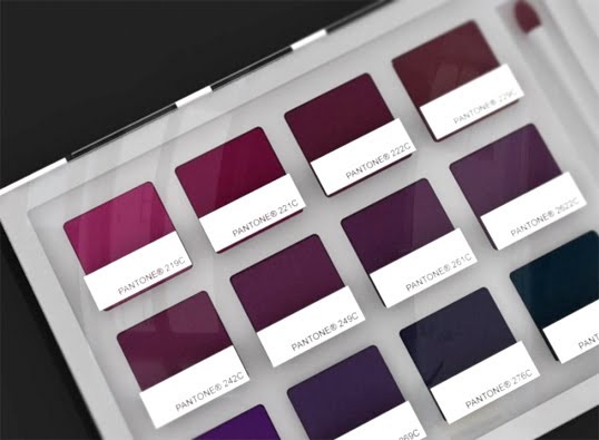[pantone2.jpg]