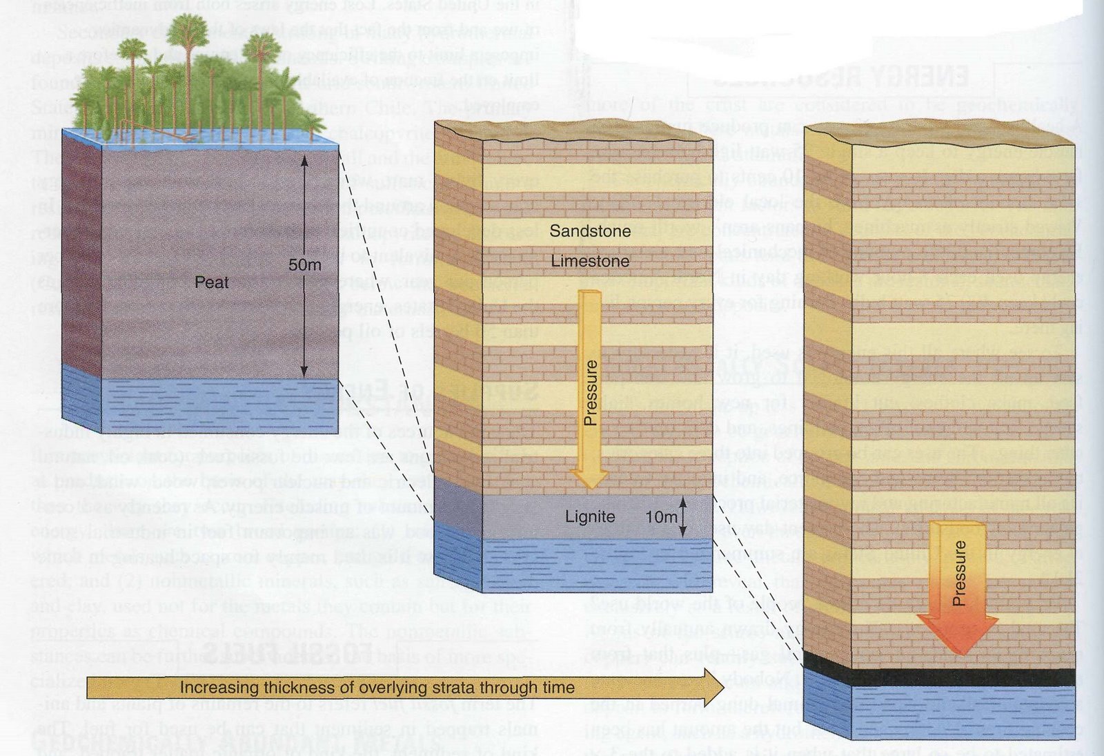 [bnf-full;init_.jpg]