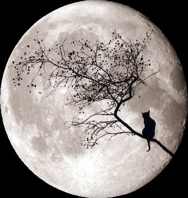 Changing Moon