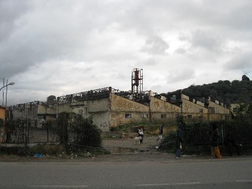 [rognetta_esterna.JPG]